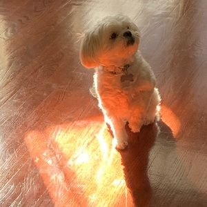 Meet your Posher, Ethan